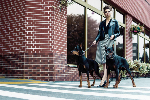 A girl walks along the street in the city along the building with two Dobermans on a leash. - Foto, Bild