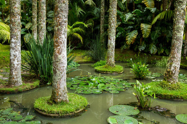 Kauniit maisemat Azoreilla Portugali. Trooppinen luonto Sao Miguel Island, Azorit.  - Valokuva, kuva