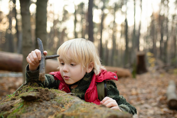 Little boy play with stick in forest on autumn day. - Foto, Imagen