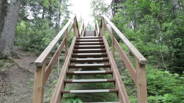 Treppen im Wald am Reiten Mountain National Park, Kanada - Filmmaterial, Video