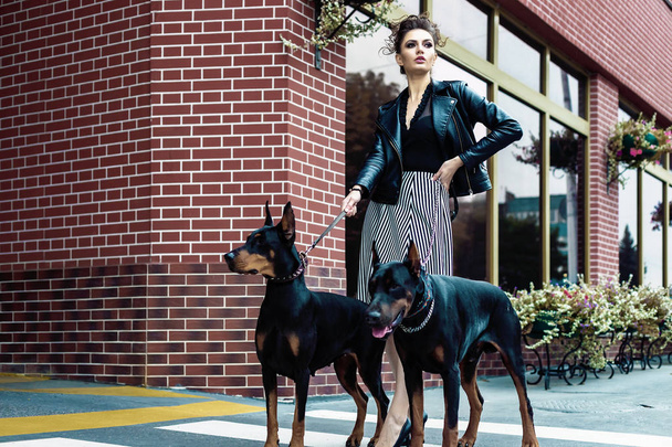 A girl walks along the street in the city along the building with two Dobermans on a leash. - Foto, imagen