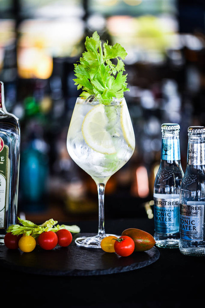tonic gin beverage with fresh fruits & spices - Foto, imagen