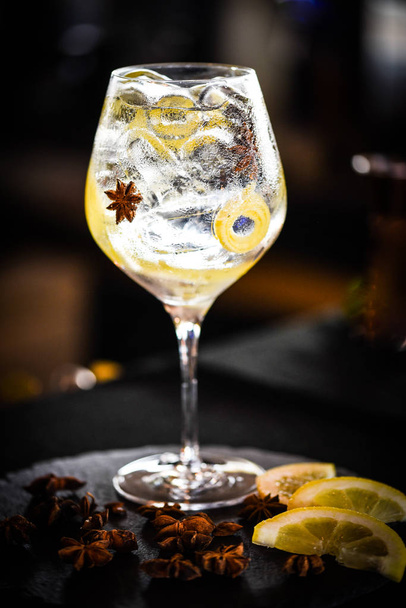 tonic gin drank met vers fruit & specerijen - Foto, afbeelding