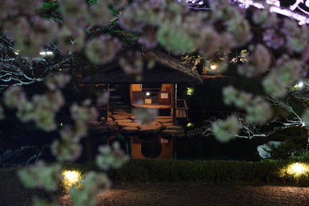 Imagem do jardim japonês Primavera
 - Foto, Imagem