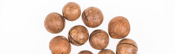 πάνω όψη των καρυδιών Macadamia διάσπαρτα απομονωμένα σε λευκό, πανοραμικό πλάνο - Φωτογραφία, εικόνα