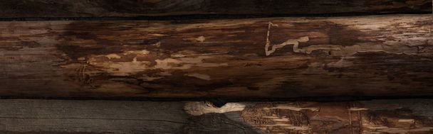 top view of empty brown wooden logs background, panoramic shot - Zdjęcie, obraz