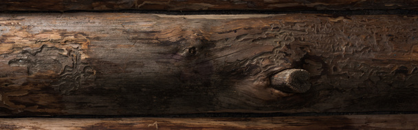 top view of empty brown wooden logs background, panoramic shot - Photo, Image