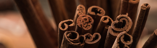 close up view of aromatic fresh cinnamon sticks, panoramic shot - Фото, изображение
