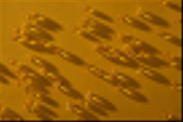 top view of golden shiny fish oil capsules scattered on yellow background in dark - Valokuva, kuva