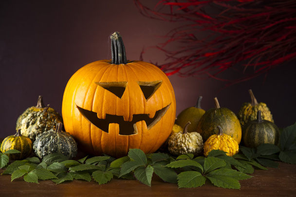 Calabaza de Halloween, Jack de miedo
 - Foto, Imagen