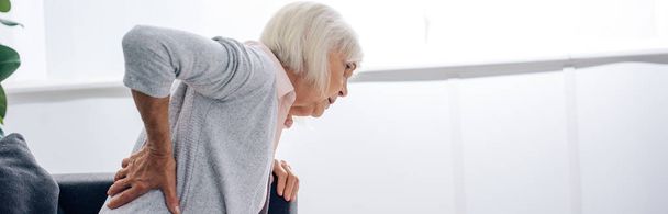 πανοραμική λήψη της ηλικιωμένης γυναίκας που έχει πόνο στην πλάτη στο διαμέρισμα  - Φωτογραφία, εικόνα