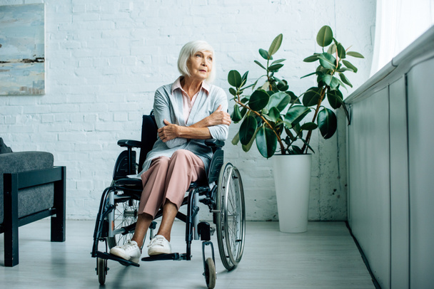 vanhempi nainen istuu pyörätuolissa ja katselee pois asunnossa
  - Valokuva, kuva