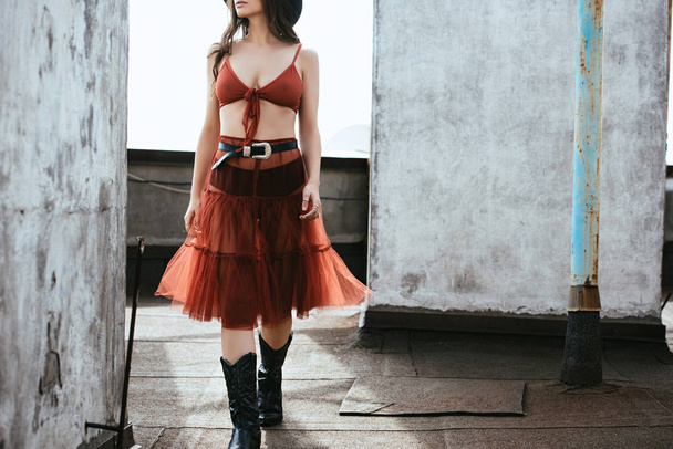 rajattu näkymä tyylikäs tyttö poseeraa punainen hame ja rintaliivit katolla
 - Valokuva, kuva