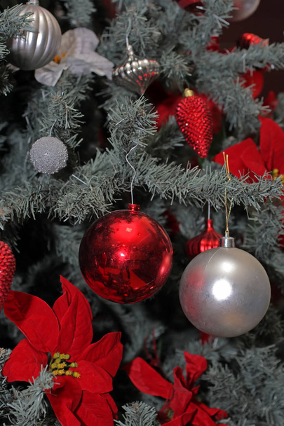 Christmass Balls - Fotó, kép