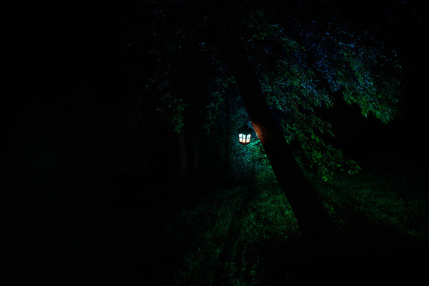 Concepto de Halloween de horror. Quema vieja lámpara de aceite en el bosque por la noche. Paisaje nocturno de una escena de pesadilla
. - Foto, Imagen