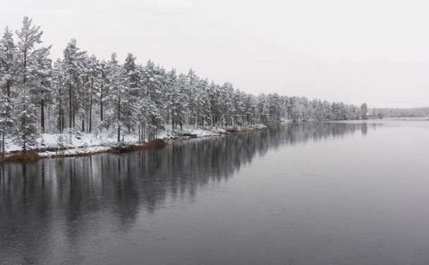 Conifer trees in snow reflected in lake or big river on gloomy foggy day - Photo, Image