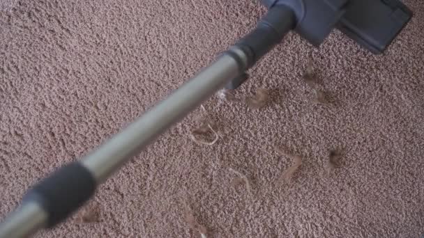 housewife vacuuming carpet at home - Footage, Video
