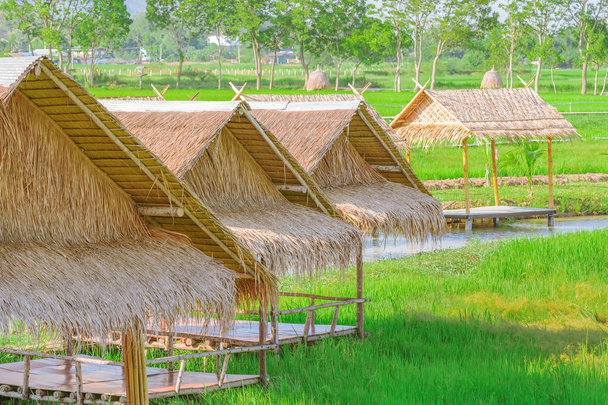 De rusthutten gemaakt van bamboe en rieten daken om te ontspannen in de rijstvelden. - Foto, afbeelding
