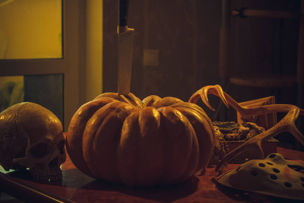Pumpkin, skull and other halloween stuff   - Foto, Imagen