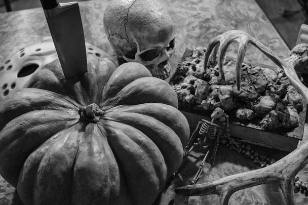 Pumpkin, skull and other halloween stuff - Foto, Imagen