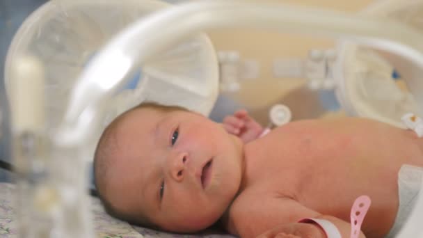 Концепція охорони здоров'я. Швидке і часте дихання новонародженого, перший день догляду за новонародженою дитиною в інкубаторі в дитячій лікарні. Постріл в 4k
 - Кадри, відео