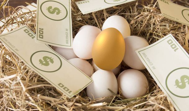 fektessenek be az arany tojást, a koncepció kockázati beruházás kereskedelmi eszköz - Fotó, kép