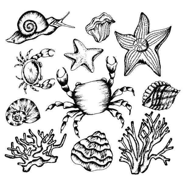 Monochrome Underwater Creatures Vector Hand Drawn Illustrated Set - Vektor, kép