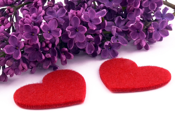 Фиолетовые сиреневые и красные сердца
 - Фото, изображение