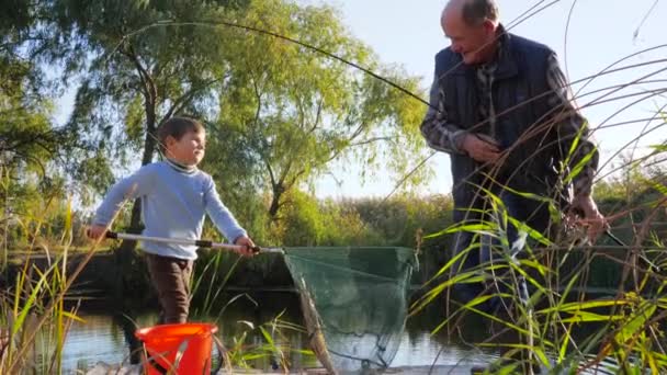 život rybářů, chlapec se starým mužem chytil velkého kapra v jezeře na jaře slunečný den - Záběry, video