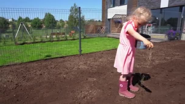 kleines fleißiges Mädchen pflanzt neue Grassamen in fruchtbaren Boden im Hausgarten - Filmmaterial, Video