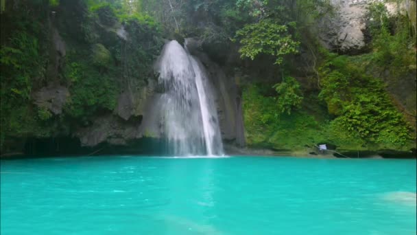 Kawasan Falls op Cebu Island, Filipijnen. Prachtige waterval in tropisch regenwoud.Waterval met natuurlijk zwembad en bamboe vlot in een berg rivier canyon. - Video