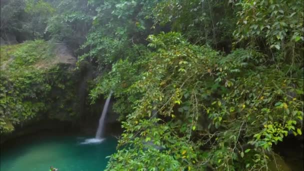 Luftaufnahme von geheimen versteckten Wasserfällen auf Kawasan-Wasserfällen auf der Cebu-Insel auf den Philippinen. - Filmmaterial, Video