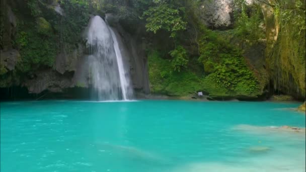 Kawasan Falls sull'isola di Cebu, Filippine. Bella cascata nella foresta pluviale tropicale.Cascata con piscina naturale e zattera di bambù in un canyon fluviale di montagna
. - Filmati, video