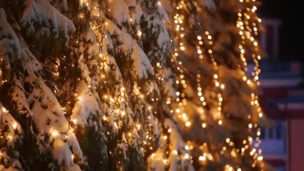 Garland lampjes op kerstbomen. Feestelijke verlichting op de dennenbomen op de straten op oudejaarsavond. Winternacht. Sneeuwsparren takken. Sneeuwval. Sneeuw valt naar beneden. Camera omhoog kantelen. - Video