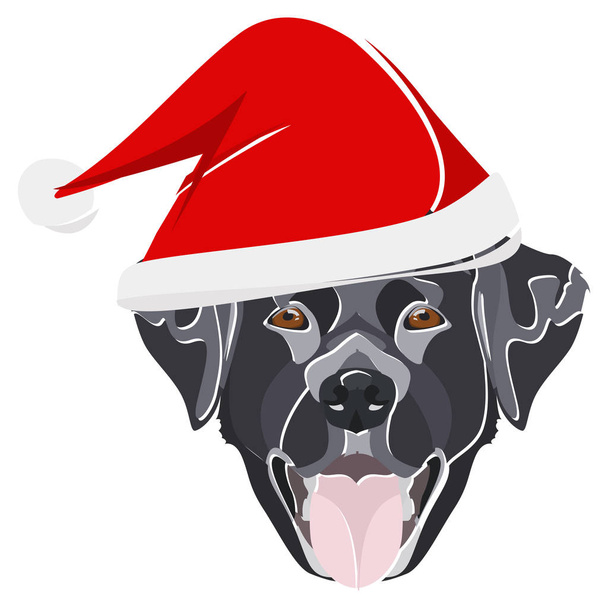 Kırmızı Noel şapkalı Çizim Labradoru  - Vektör, Görsel