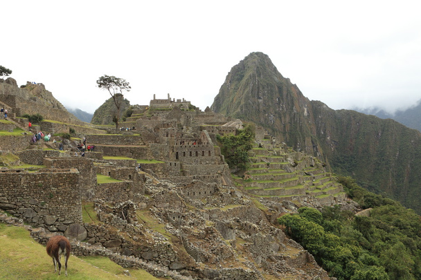 Machu picchu Andes gizli Inca şehir - Fotoğraf, Görsel