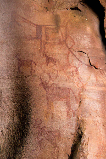 Prehisric Cave Art, Бхимбетка
 - Фото, изображение