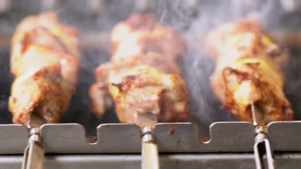 Meat and vegetables kebabs on grill in close-up - Video