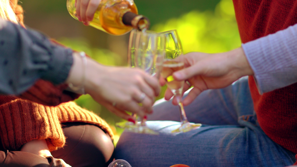Wein beim Picknick in Gläser gießen - Filmmaterial, Video