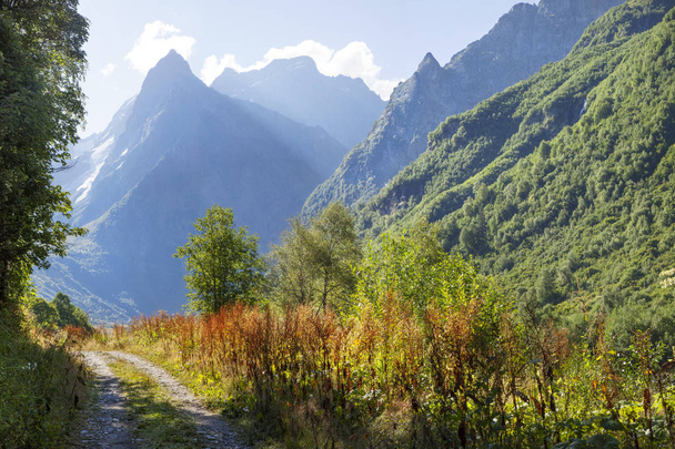 Picturesque valley in the Caucasus Mountains - Photo, image