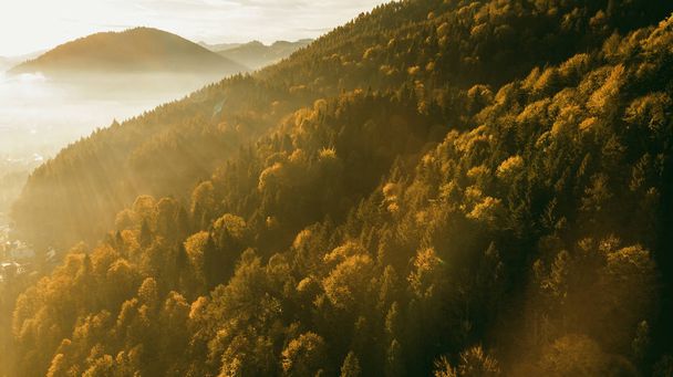 Sunrise Baclight Over Autumnal Forest (em inglês). Folhagem vibrante e sol R
 - Foto, Imagem