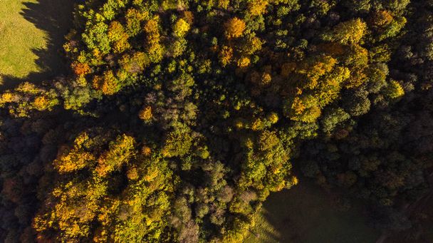 Atumnal Fall Foliage, Top Down Aerial Drone View - Zdjęcie, obraz