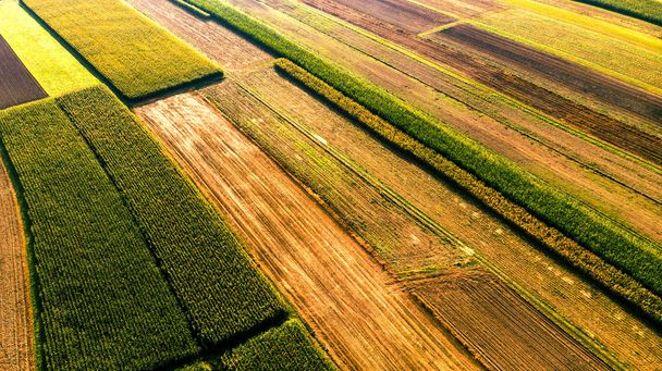 Colorful Countryside Farm Fields. Cultivated Soil with Crops. Ae - 写真・画像