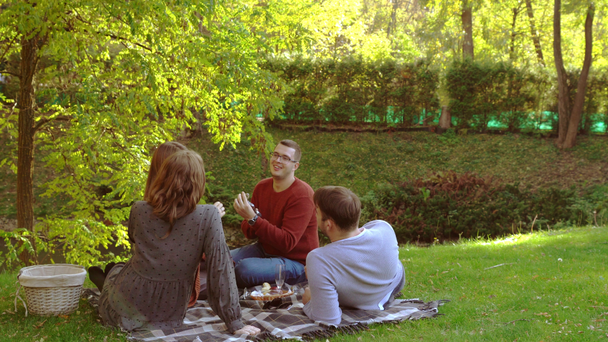 Two young couples picnicking in an autumn park - Footage, Video