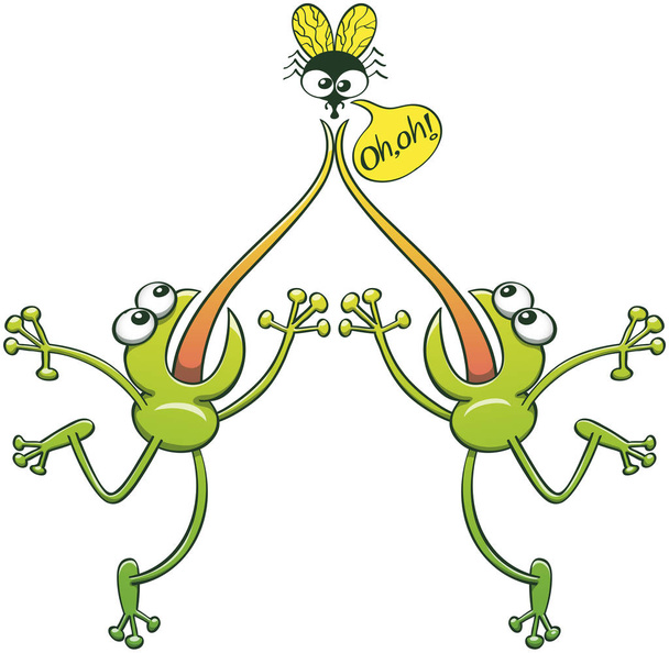 Δύο καθρεφτισμένοι πράσινοι βάτραχοι βγάζουν τη γλώσσα τους για να φτάσουν σε μια μύγα. Τεντώνουν τα σώματά τους για να πιάσουν την άτυχη μύγα αλλά η γλώσσα τους κόλλησε. Η έκπληκτη μύγα λέει "ω, ω" σε μια φούσκα ομιλίας - Φωτογραφία, εικόνα