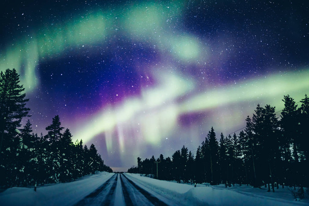 Polaire arctique coloré Aurore boréale activité dans la forêt enneigée d'hiver en Finlande
 - Photo, image