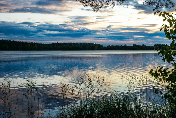 Sunset on the shores of the calm Saimaa lake in the Linnansaari National Park in Finland  - Фото, изображение