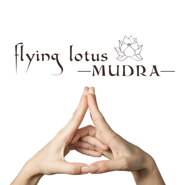 fliegende Lotusmudra. yogische Handbewegung auf weißem, isoliertem Hintergrund. - Foto, Bild