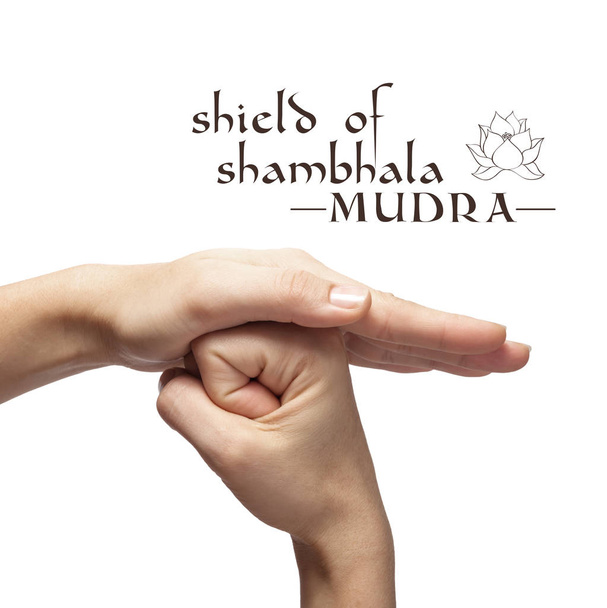 Escudo de shambhala mudra. gesto de la mano yóguica sobre fondo blanco aislado
. - Foto, imagen