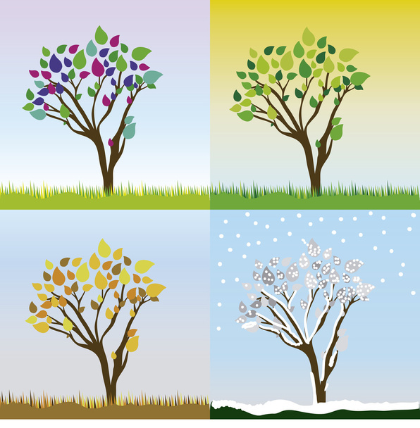 tree design - Vetor, Imagem